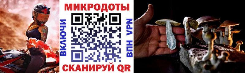 Галлюциногенные грибы мицелий Геленджик