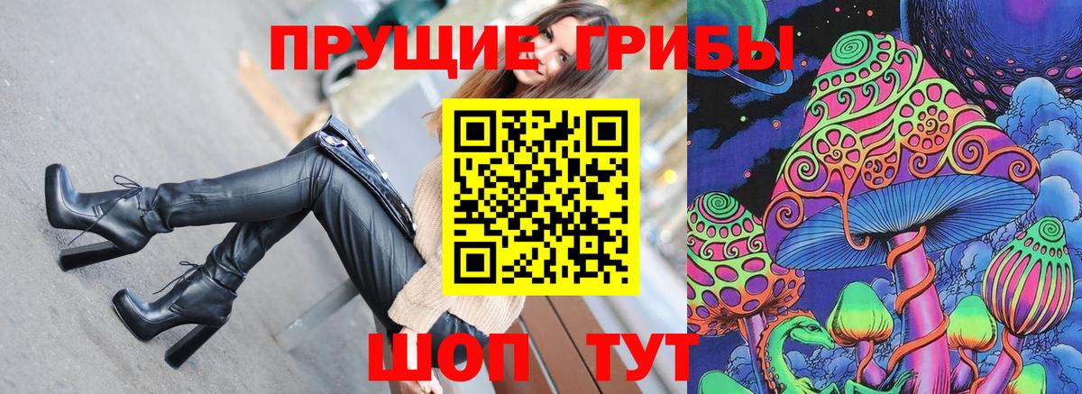 Псилоцибиновые грибы Psilocybe Геленджик