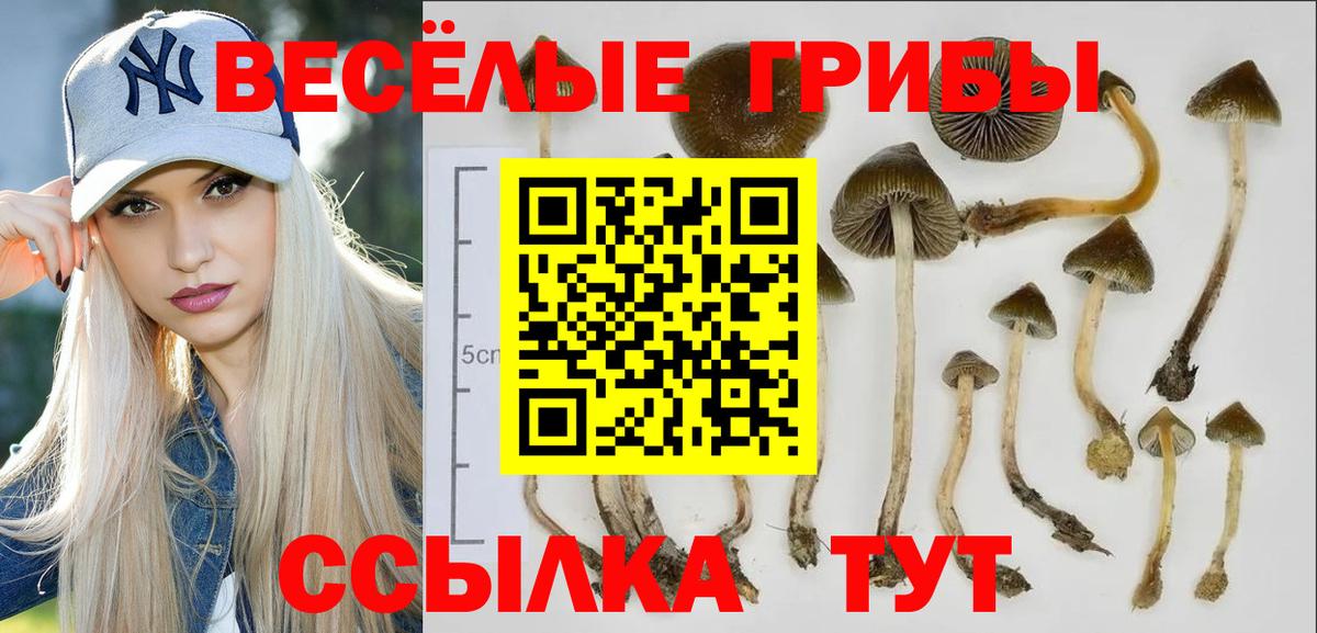 Галлюциногенные грибы Magic Shrooms  Вход с VPN  Геленджик  Галлюциногенные грибы прущие грибы 